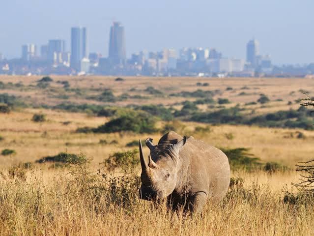 JW Marriott Hotel Nairobi