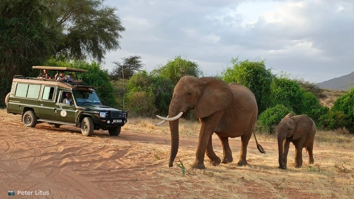 Samburu