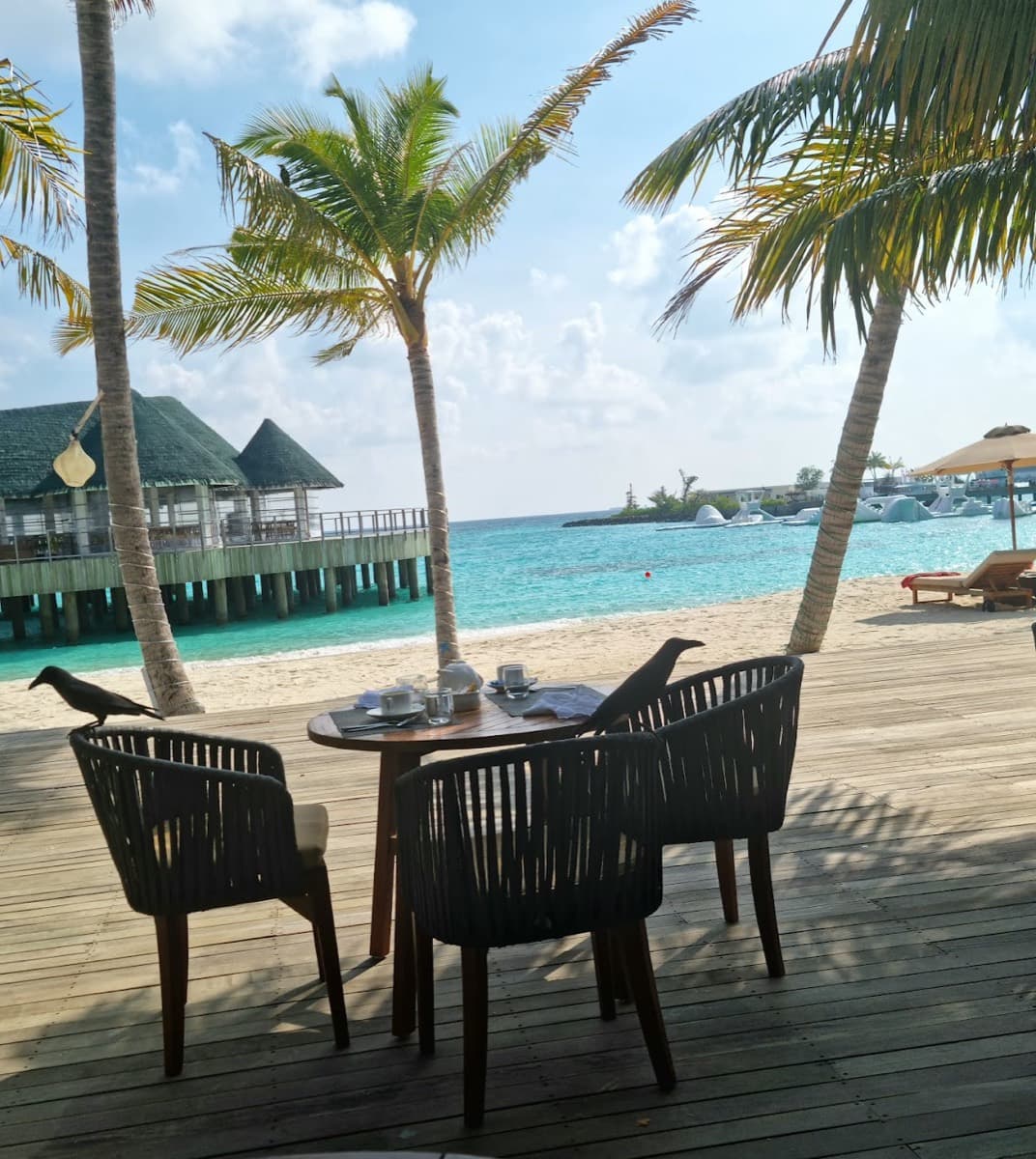 Tempo