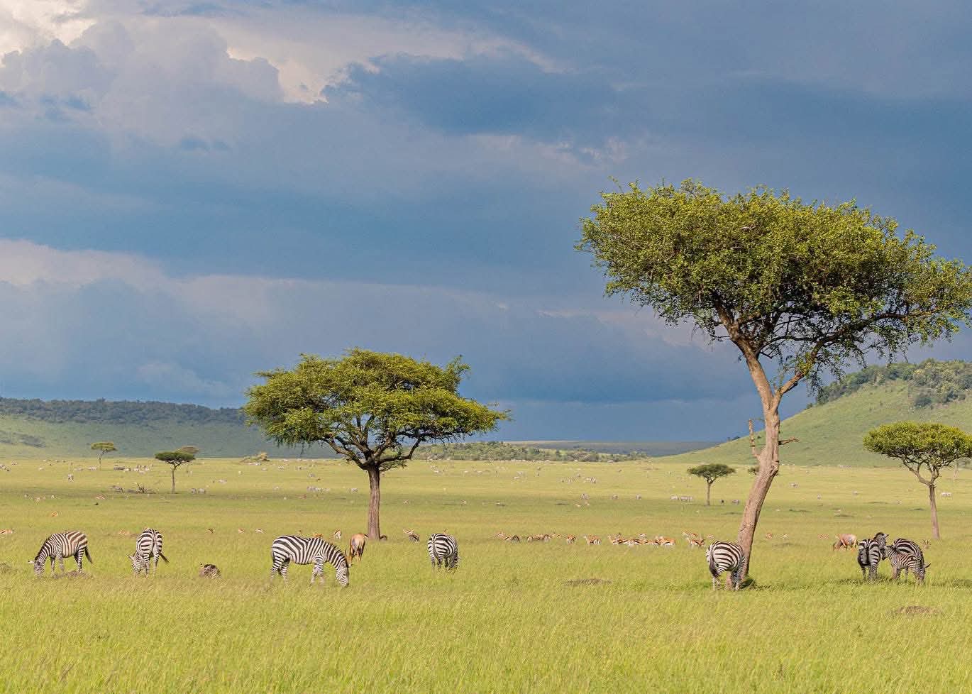 Masai Mara