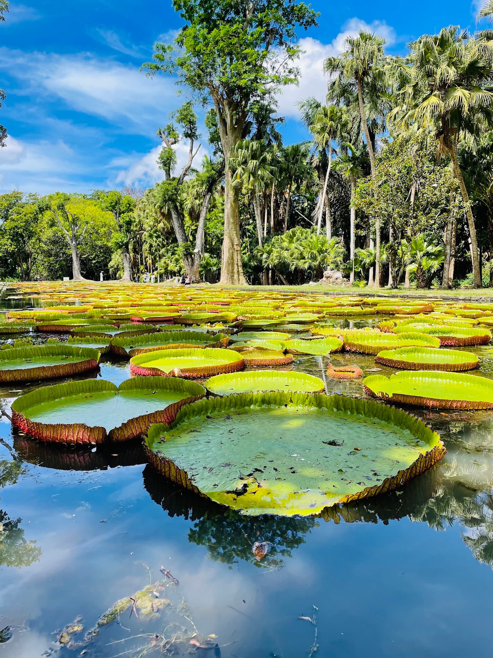 Mauritius