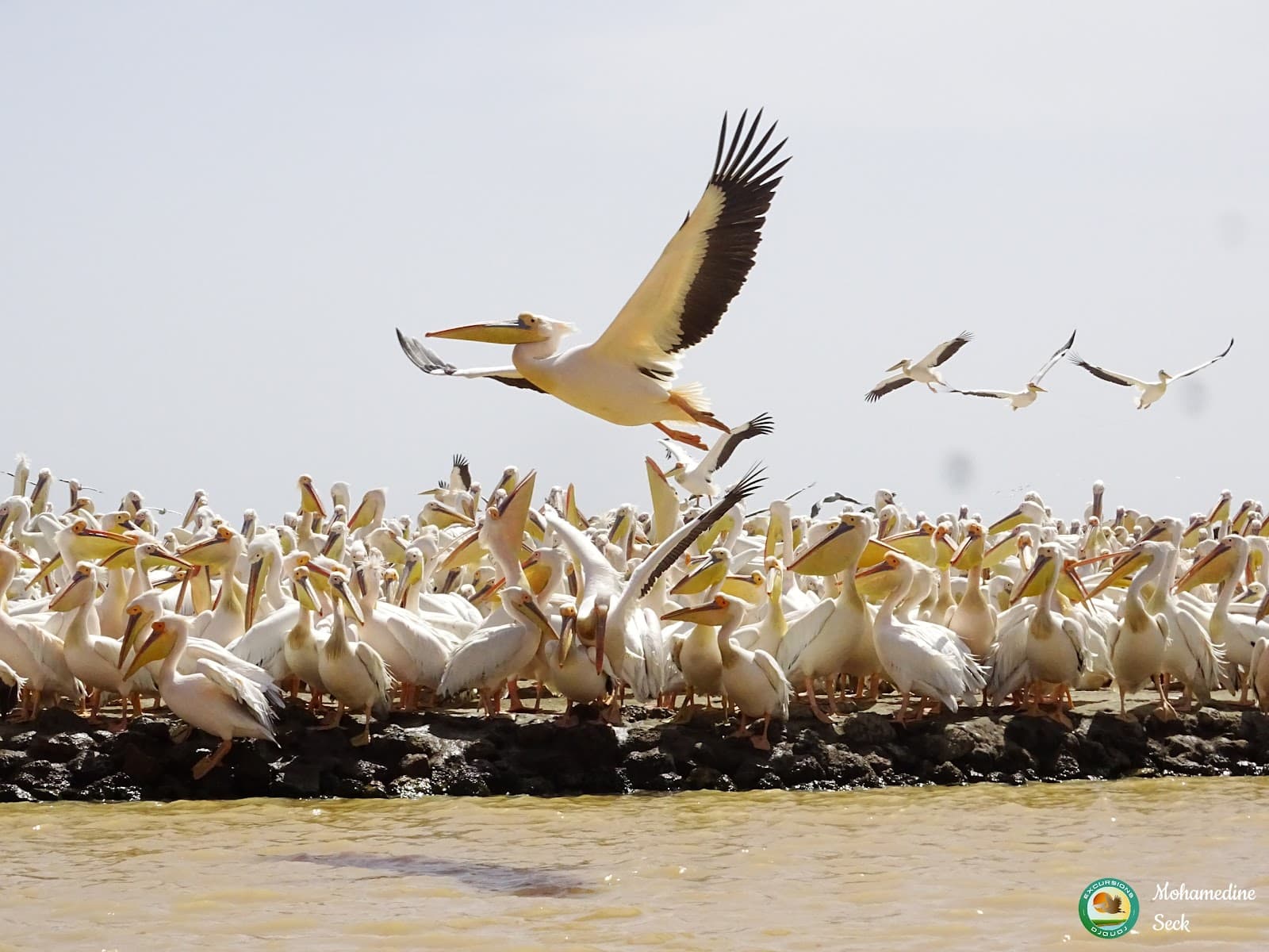 Senegal