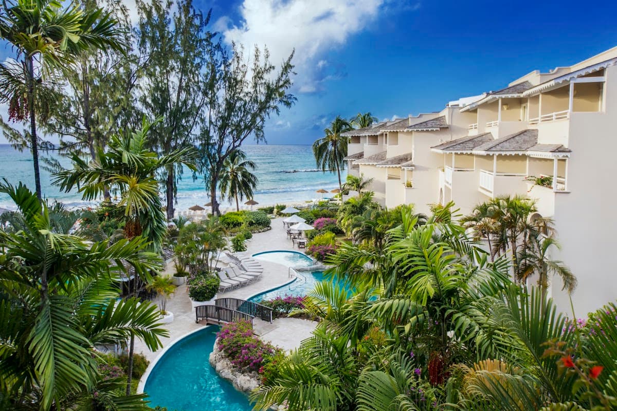 Bougainvillea Barbados