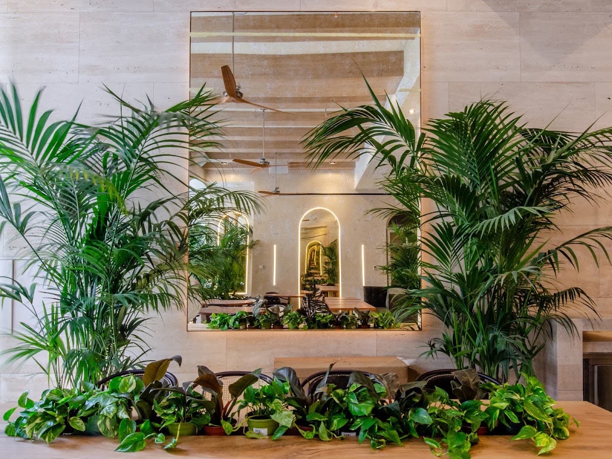 Brown's | Avenue Hotel