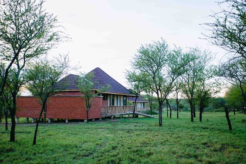Into Wild Africa Luxury Safari Lodge Serengeti