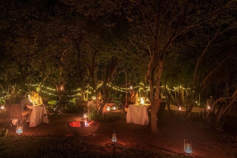 Sabi Sabi Little Bush Camp