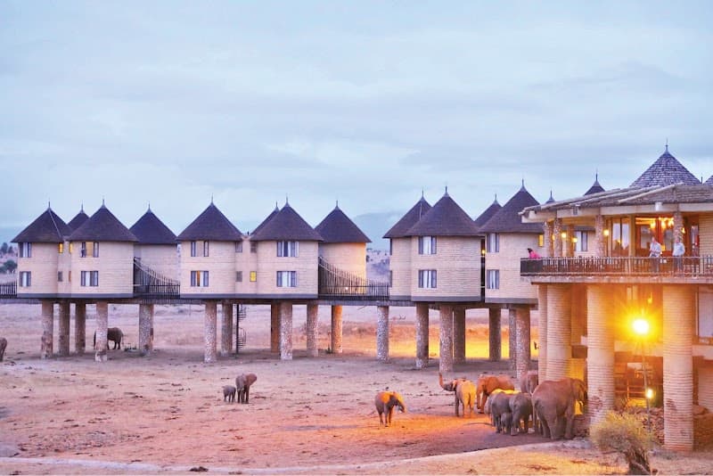Salt Lick Safari Lodge