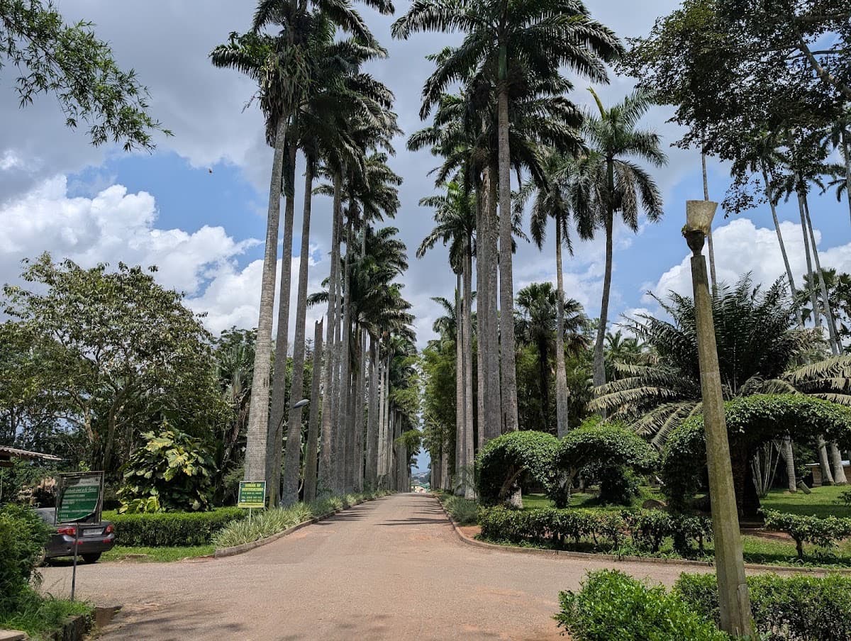 Aburi Botanical Gardens & Park | TortoisePath.com