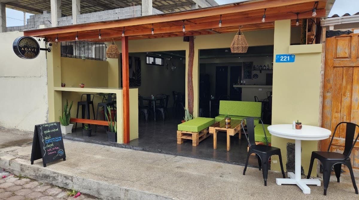 Agave Studio