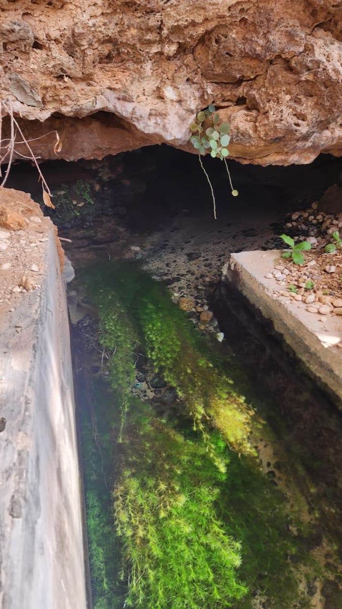 Ain Jarziz - Wilayat Salalah