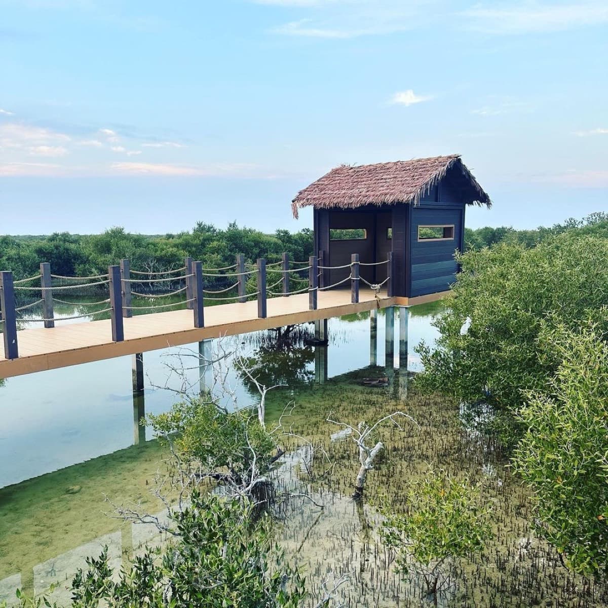 Al Thakira Mangroves Forest Beach