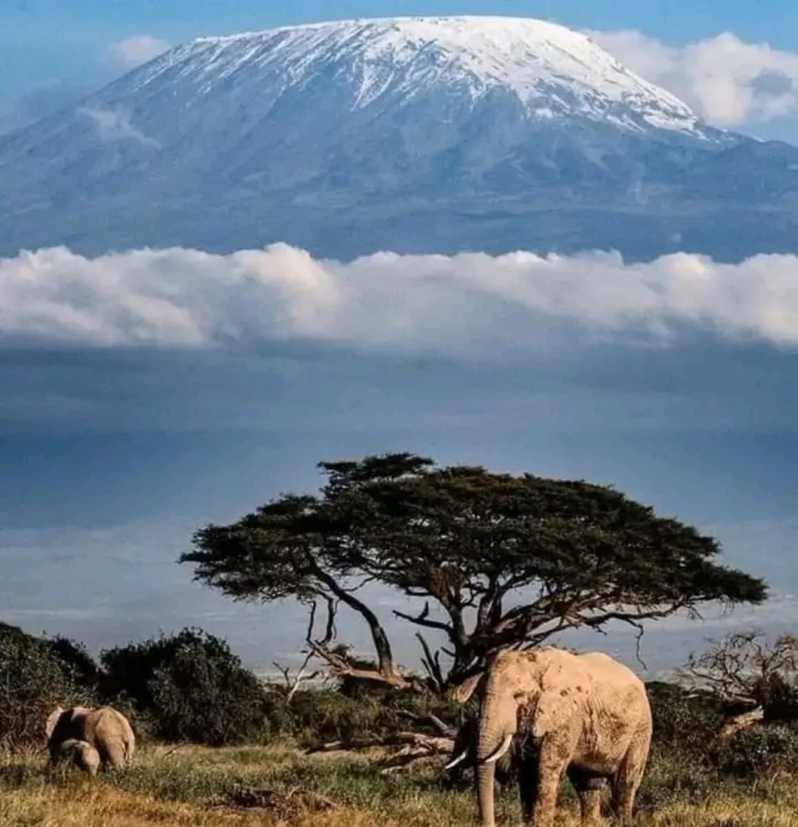 Amboseli National Park
