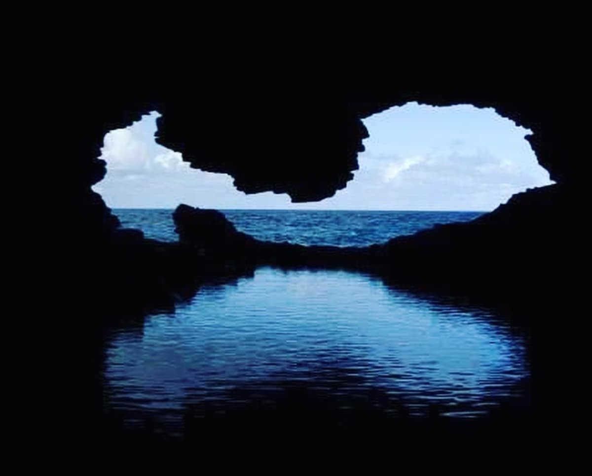 Animal Flower Cave & Restaurant