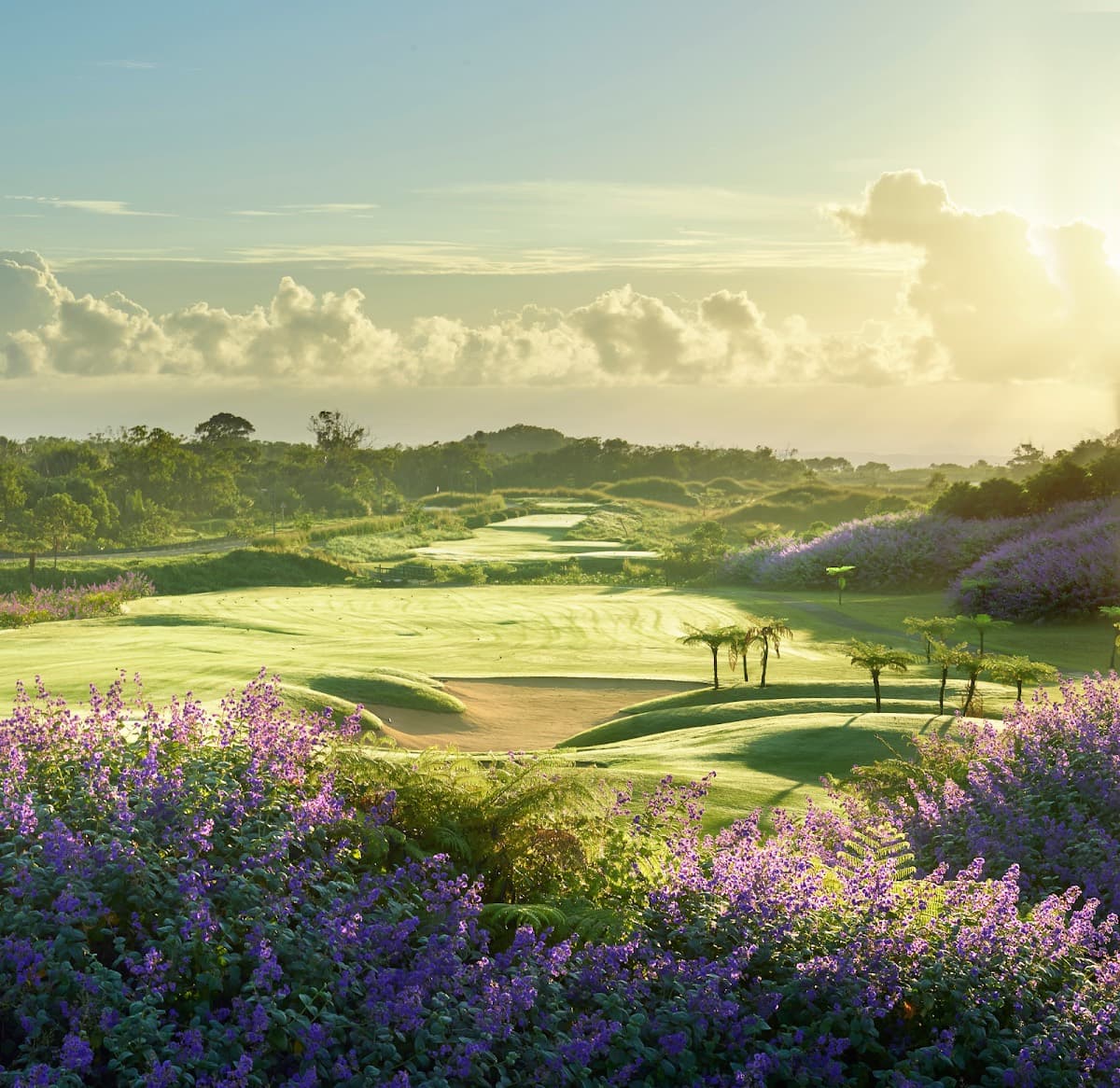 Avalon Golf Estate
