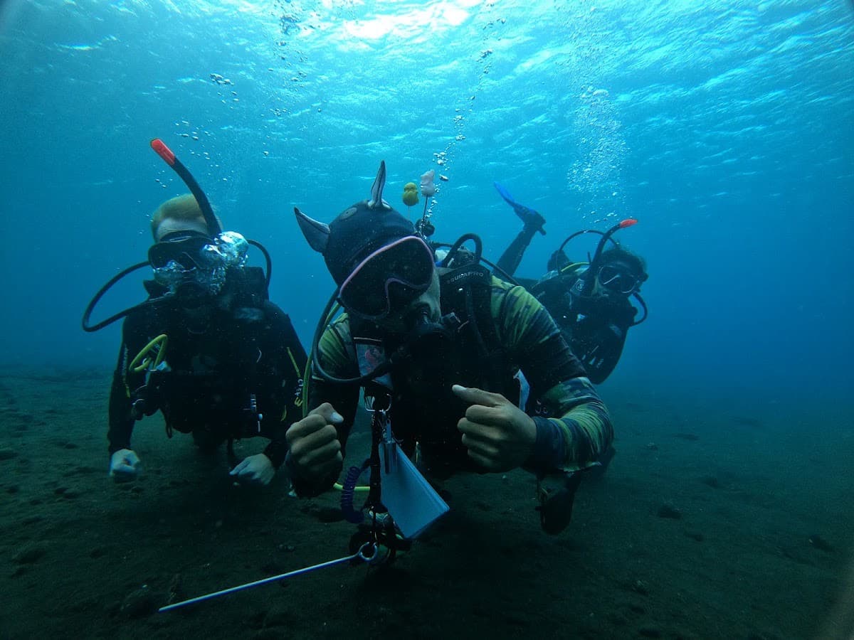 Bali Diving