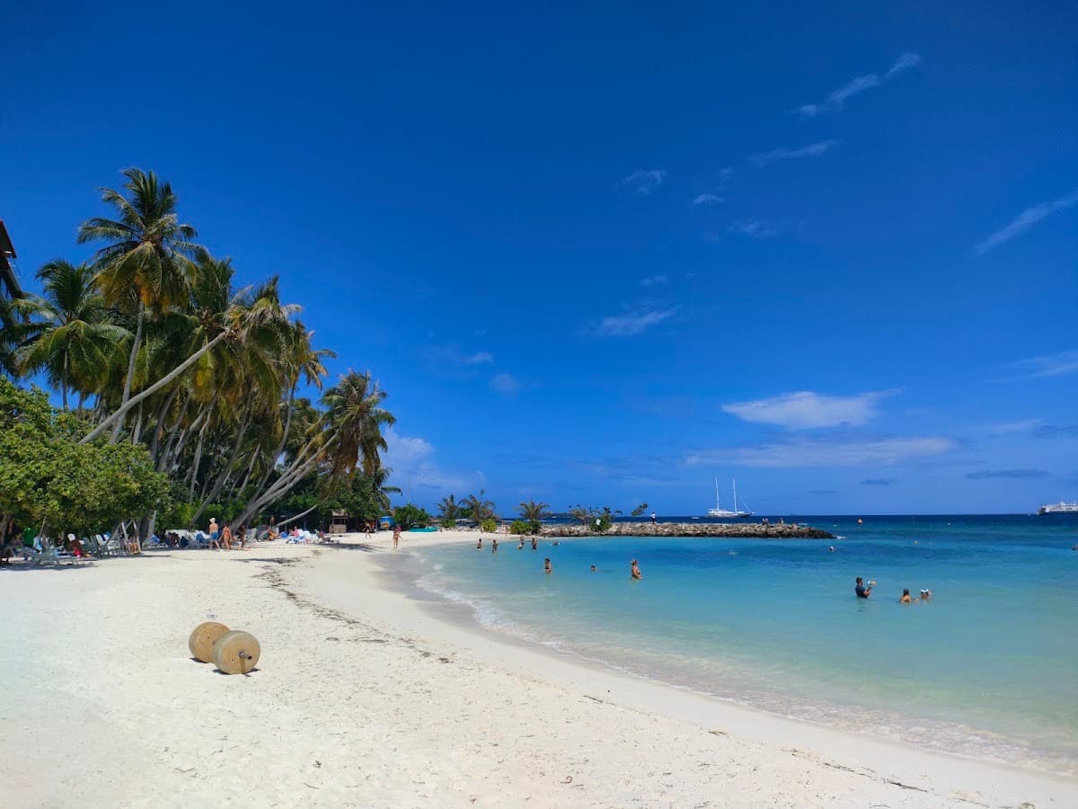 Bikini Beach