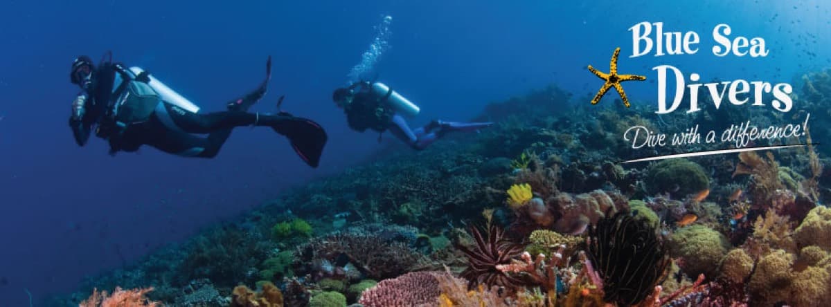 Blue Sea Divers Seychelles