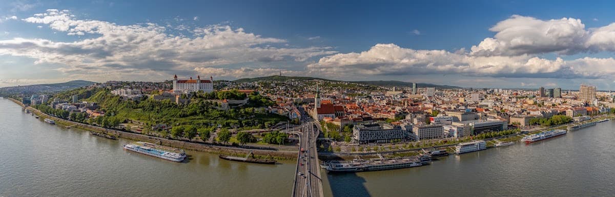 Bridge SNP