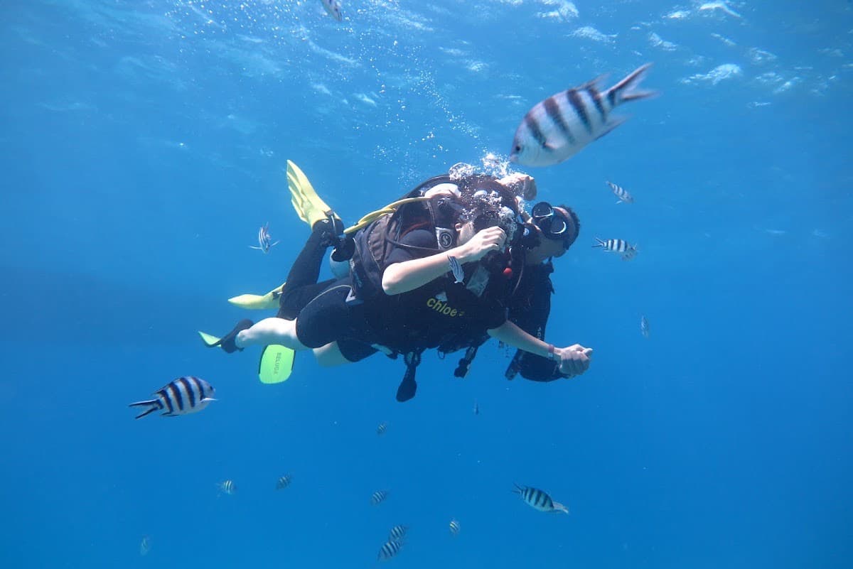 Chloe's Diving Center - Scuba Diving In Hurghada