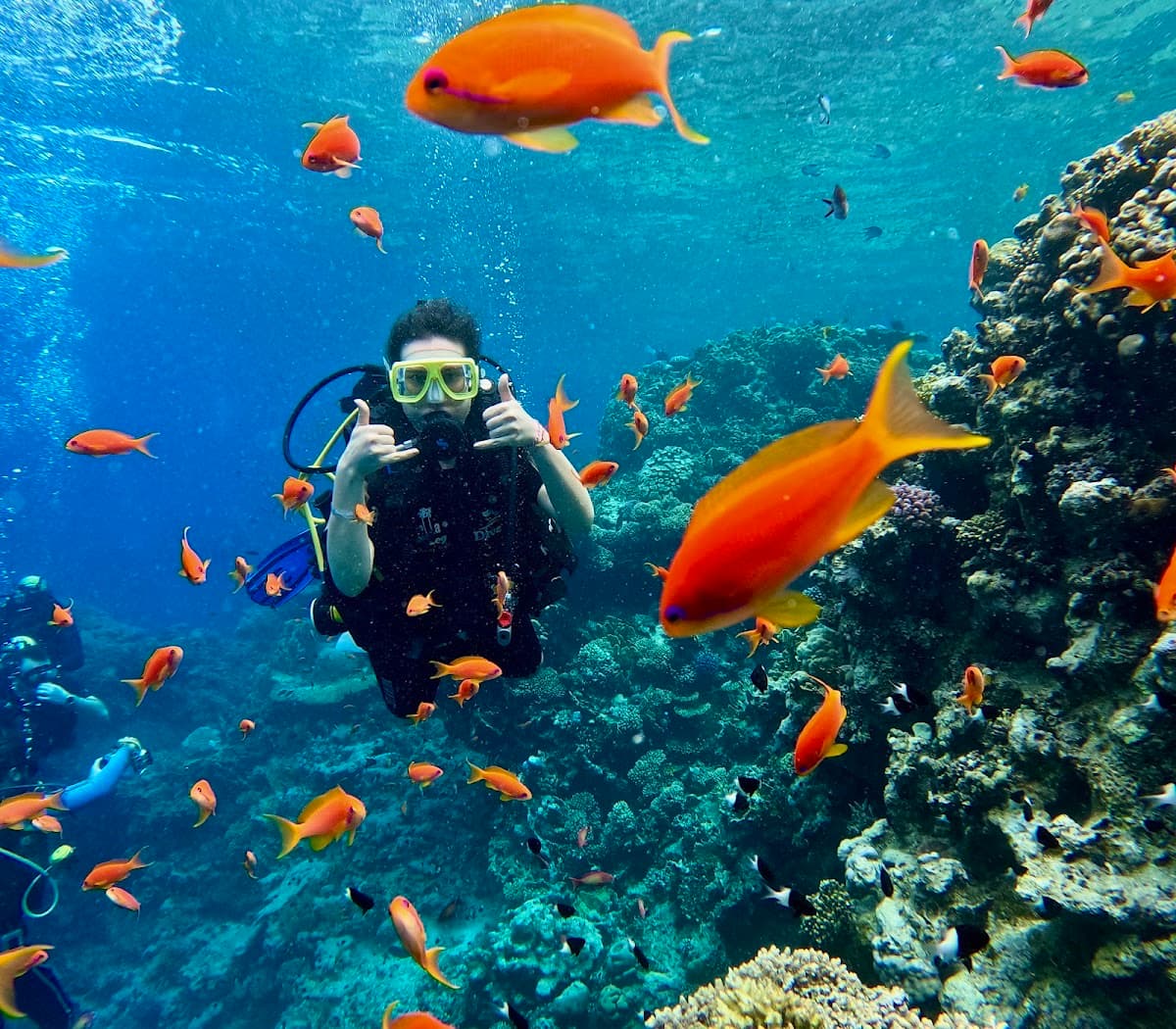 Cinderella Eldawley Diving Center