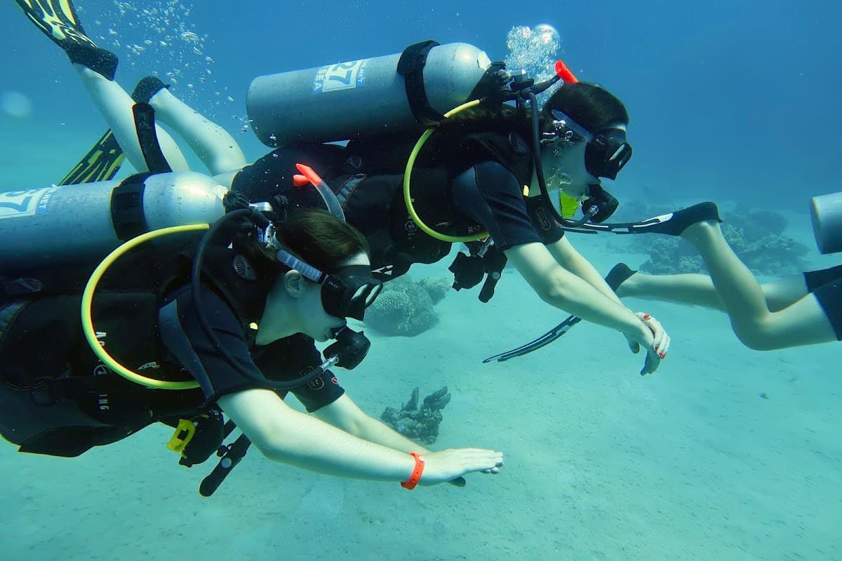 Coral Diving Club