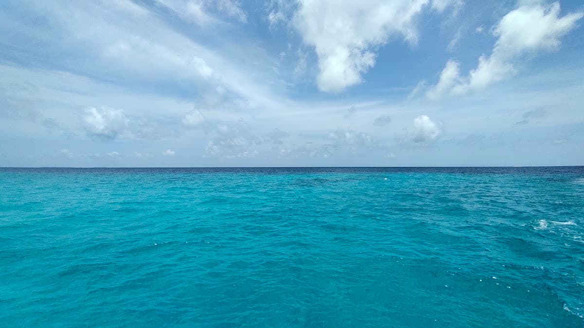 Coral Garden - Dhigurah