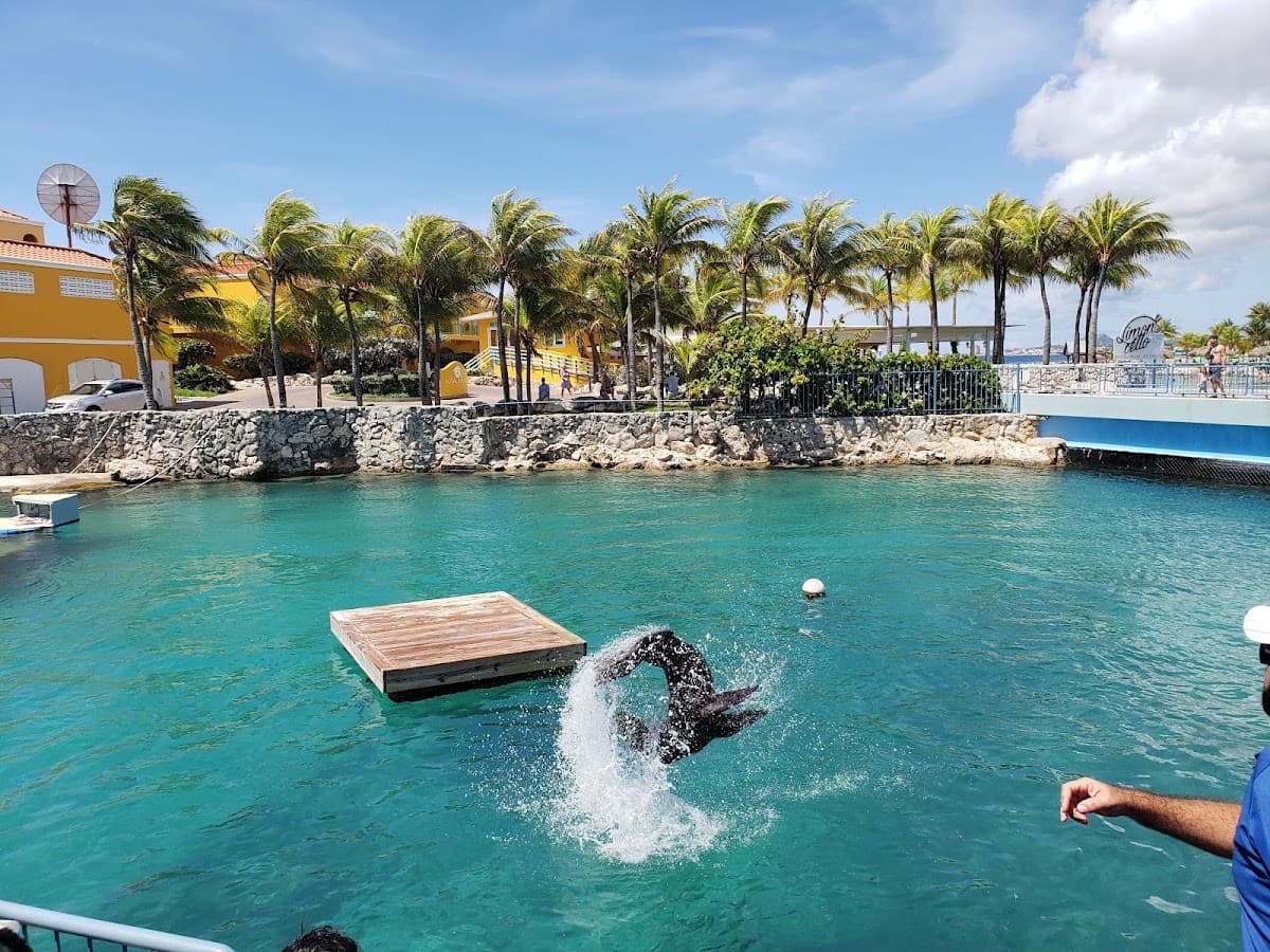 Curaçao Sea Aquarium