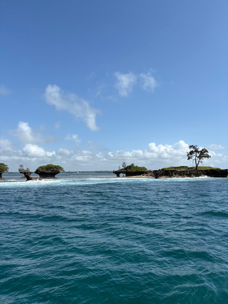 Diani Dhow Safari