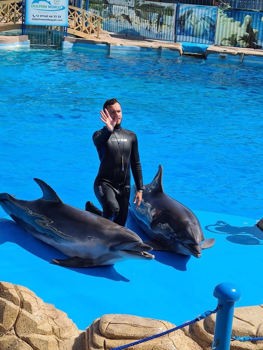 Dolphin World Egypt