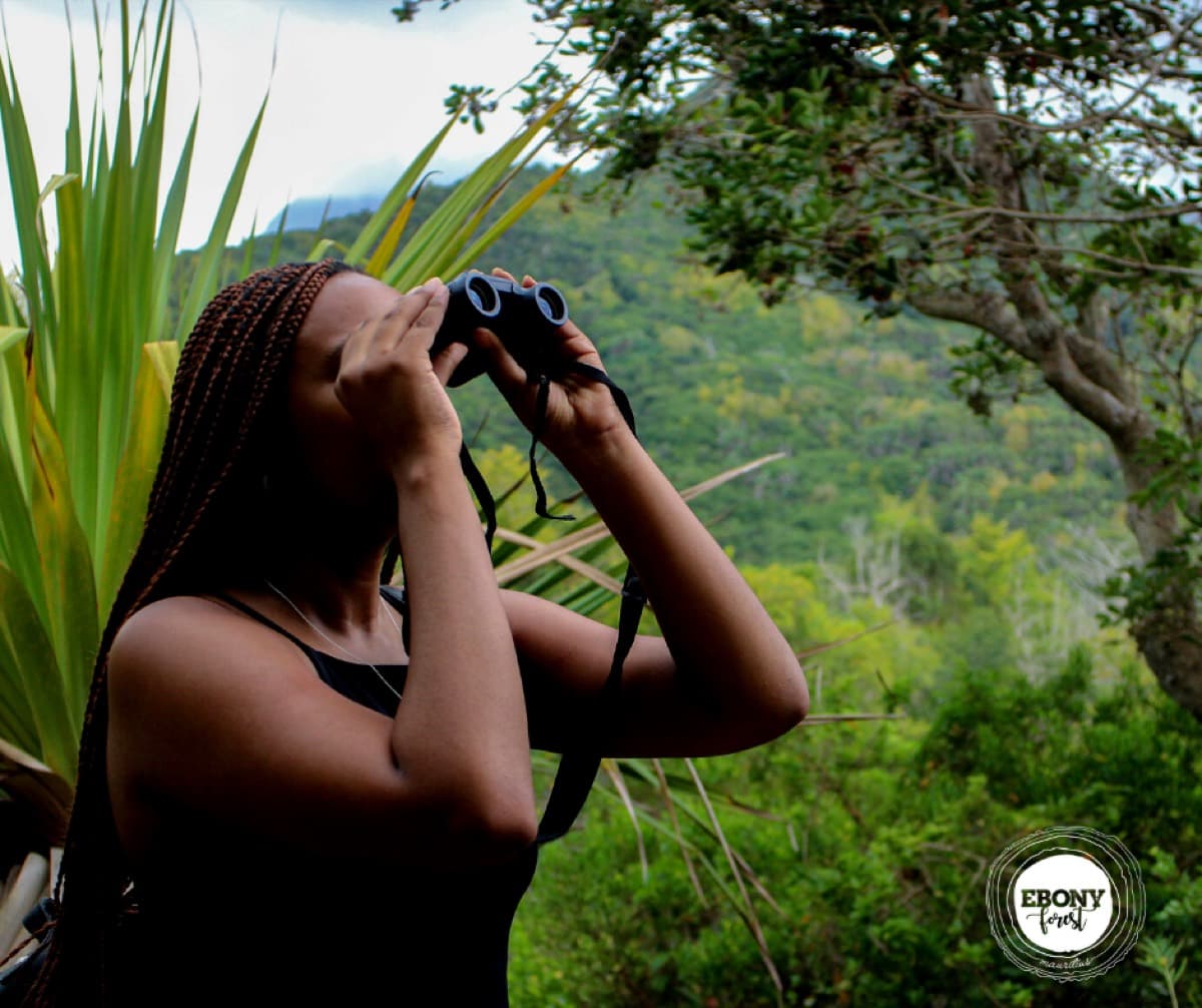 Ebony Forest Reserve Chamarel