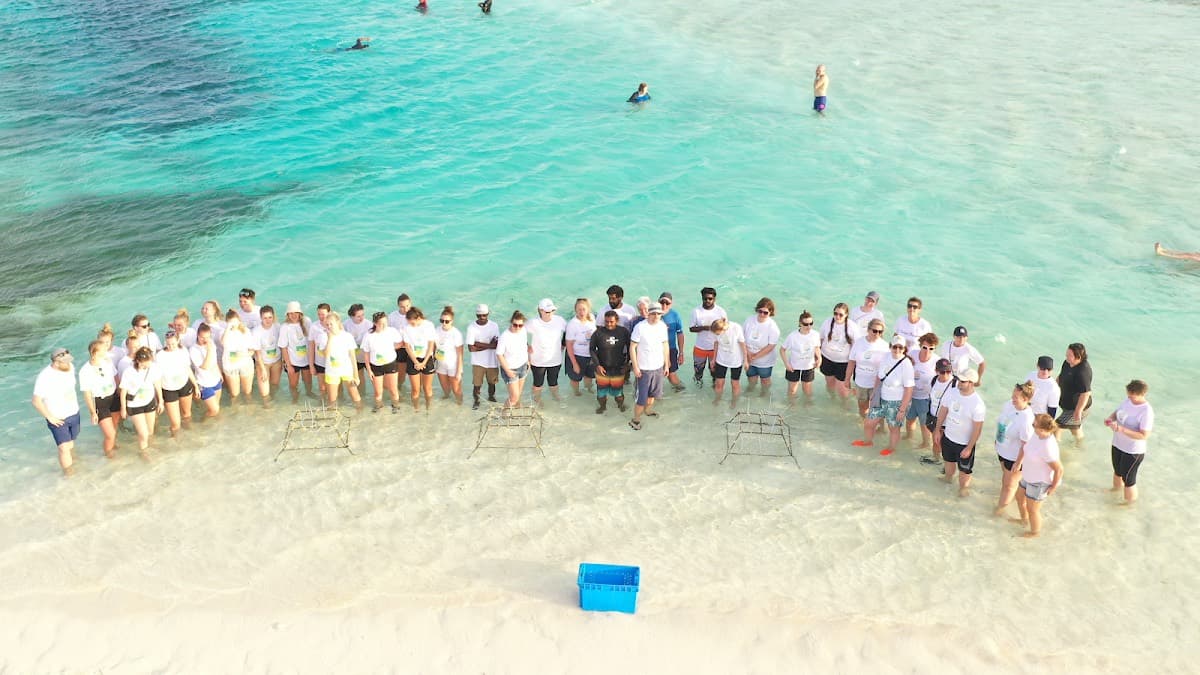 Eco Dive Club - Maafushi