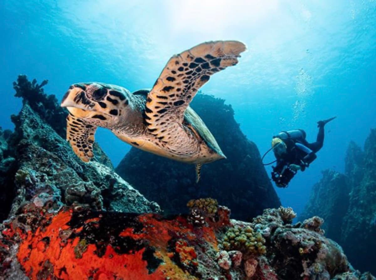 EQUINOXE Diving School