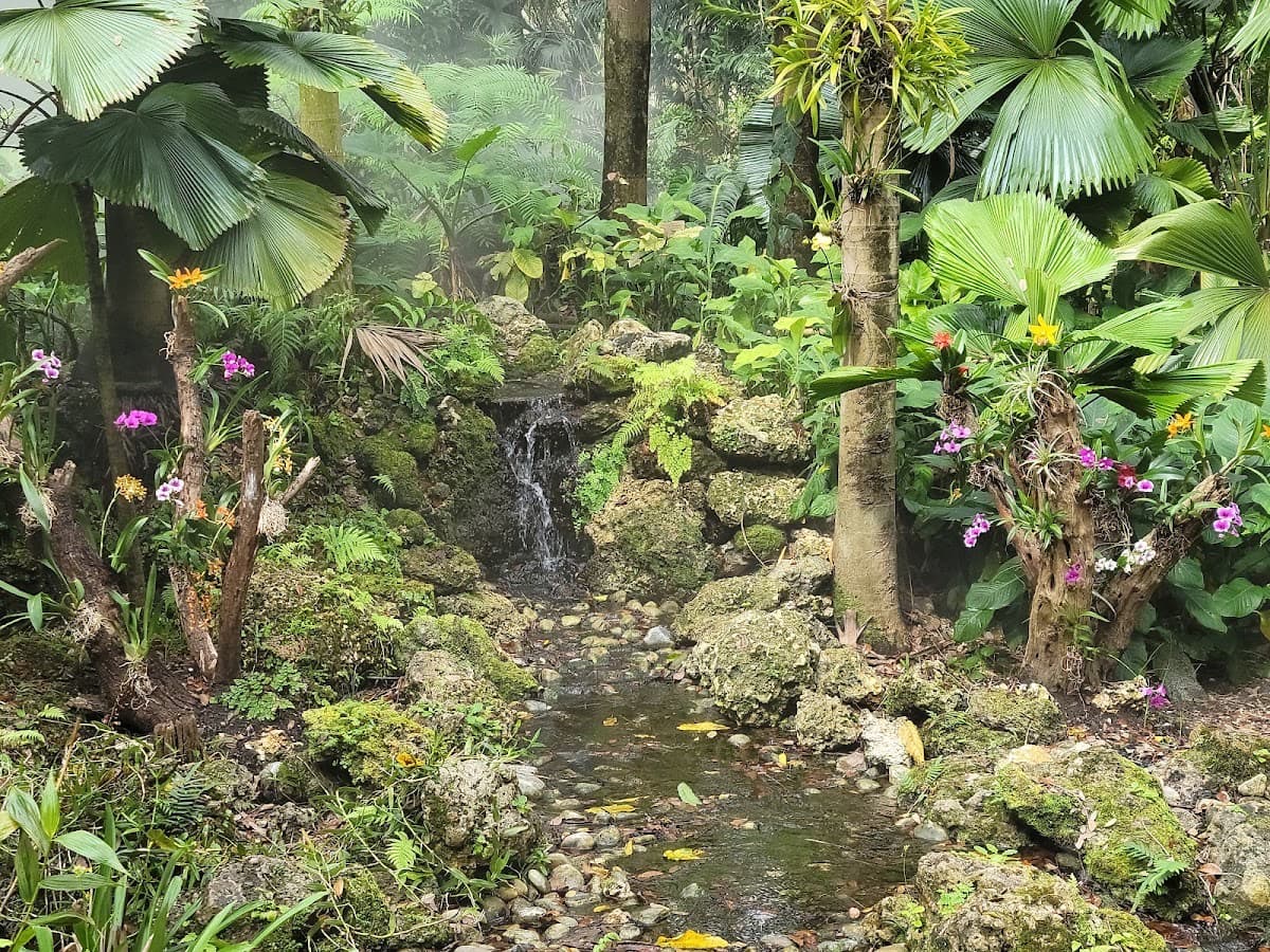 Fairchild Tropical Botanic Garden