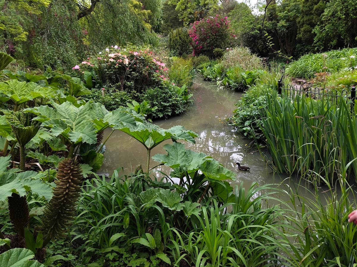 Fletcher Moss Botanical Gardens