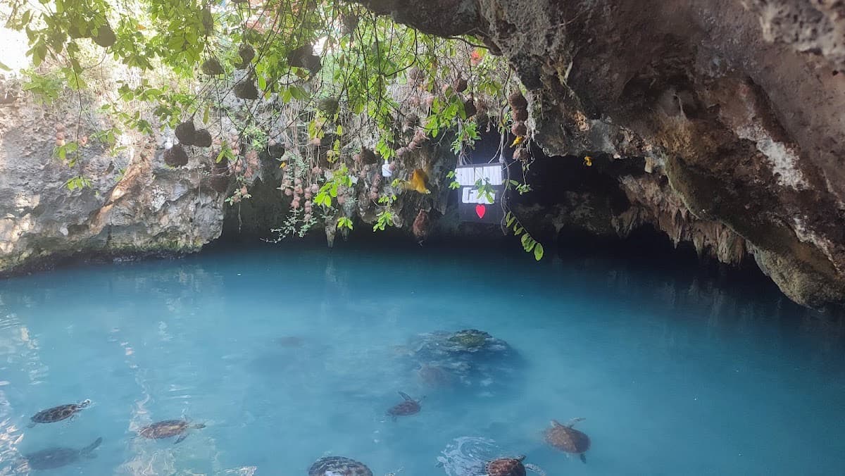 Garden cave (The secret cave)