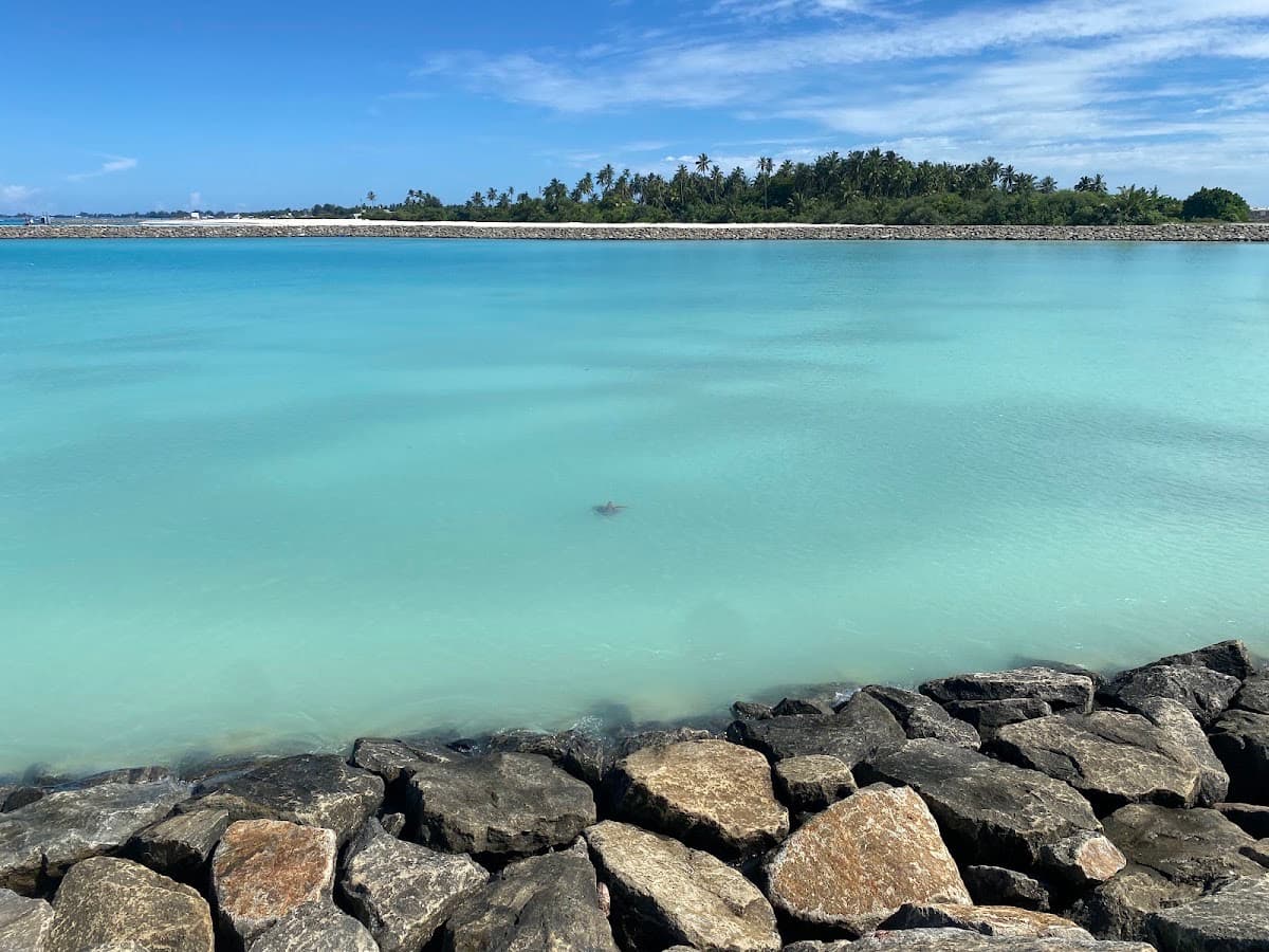 Gaukendi Turtle Point