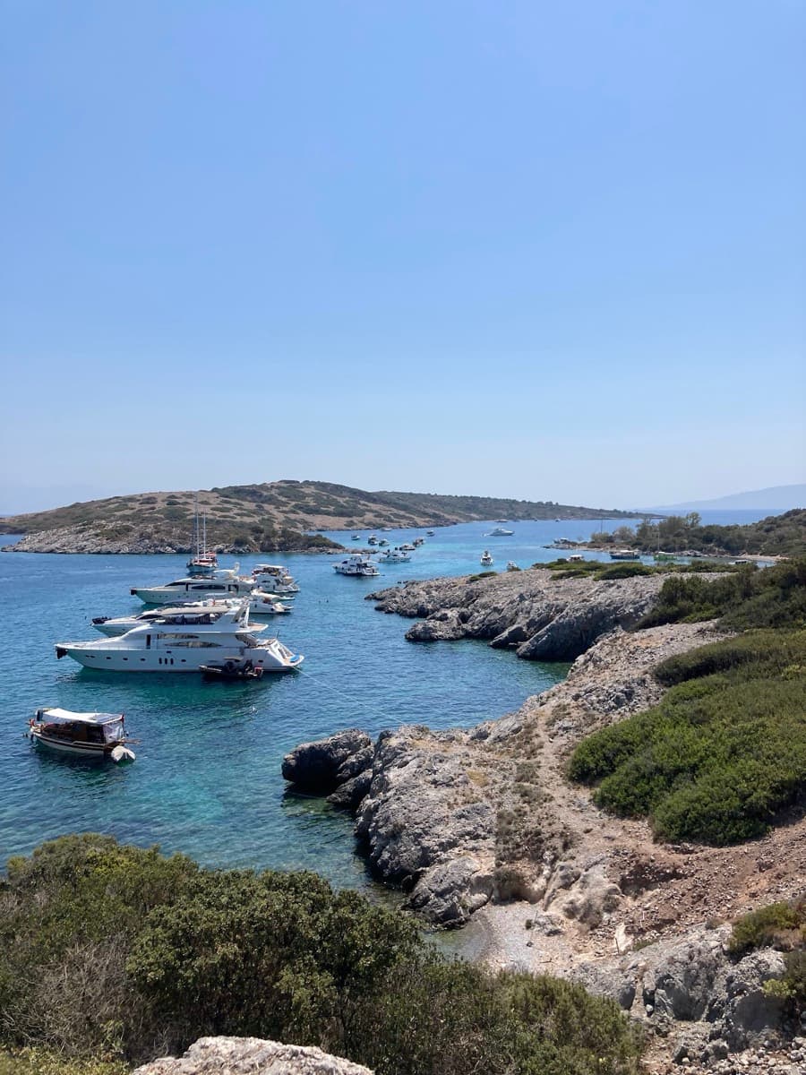 Akvaryum Koyu