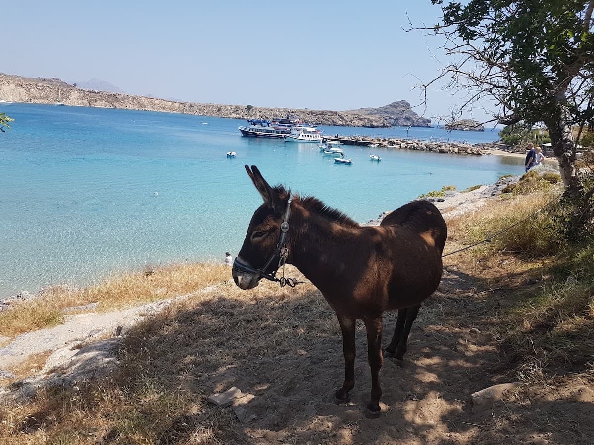 Lindos Beach