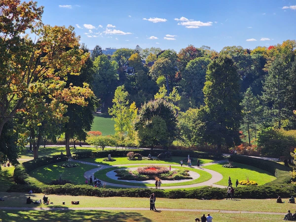 High Park