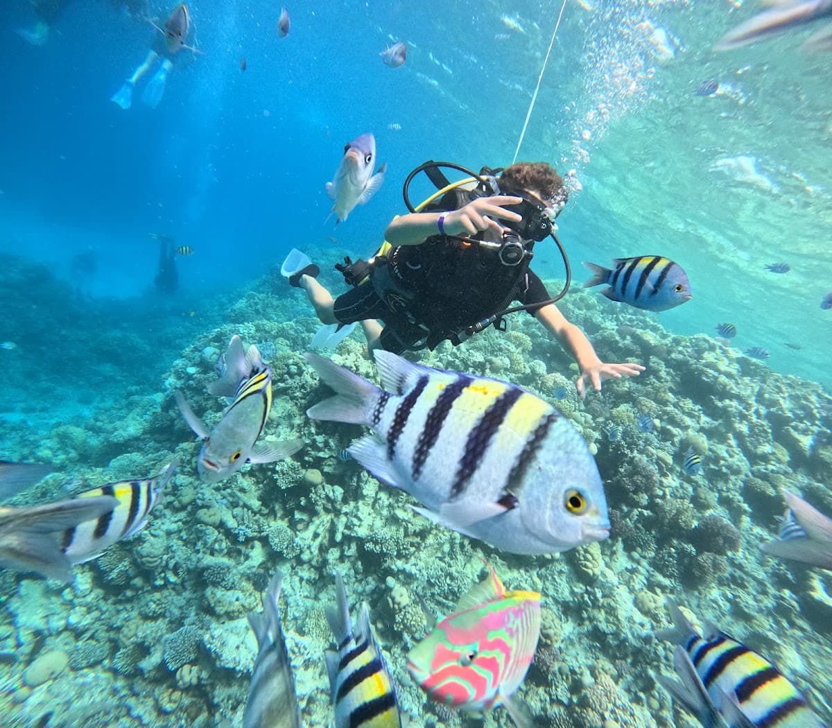 Hurghada Dream Tour