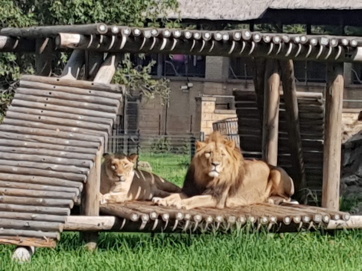 Johannesburg Zoo