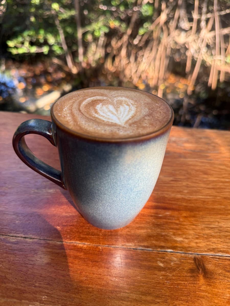 Jungle Cafe
