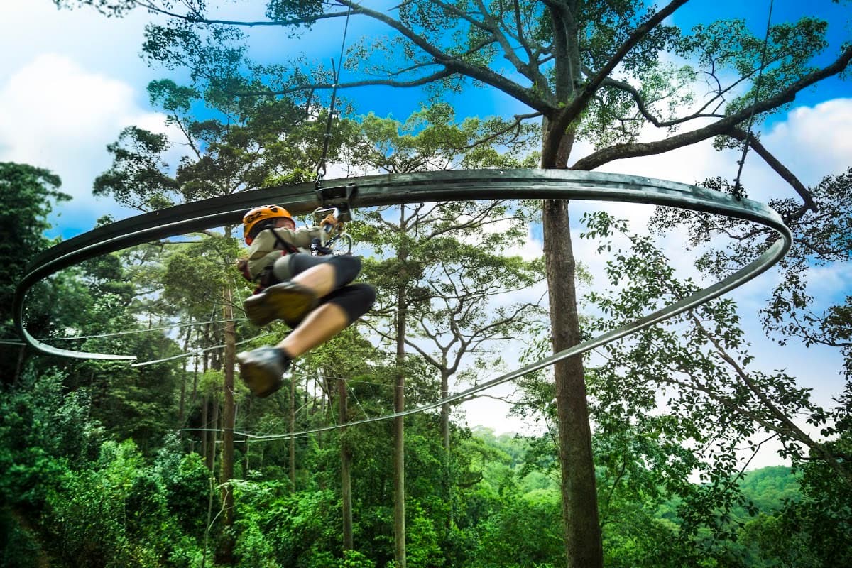 Jungle Flight Chiang Mai