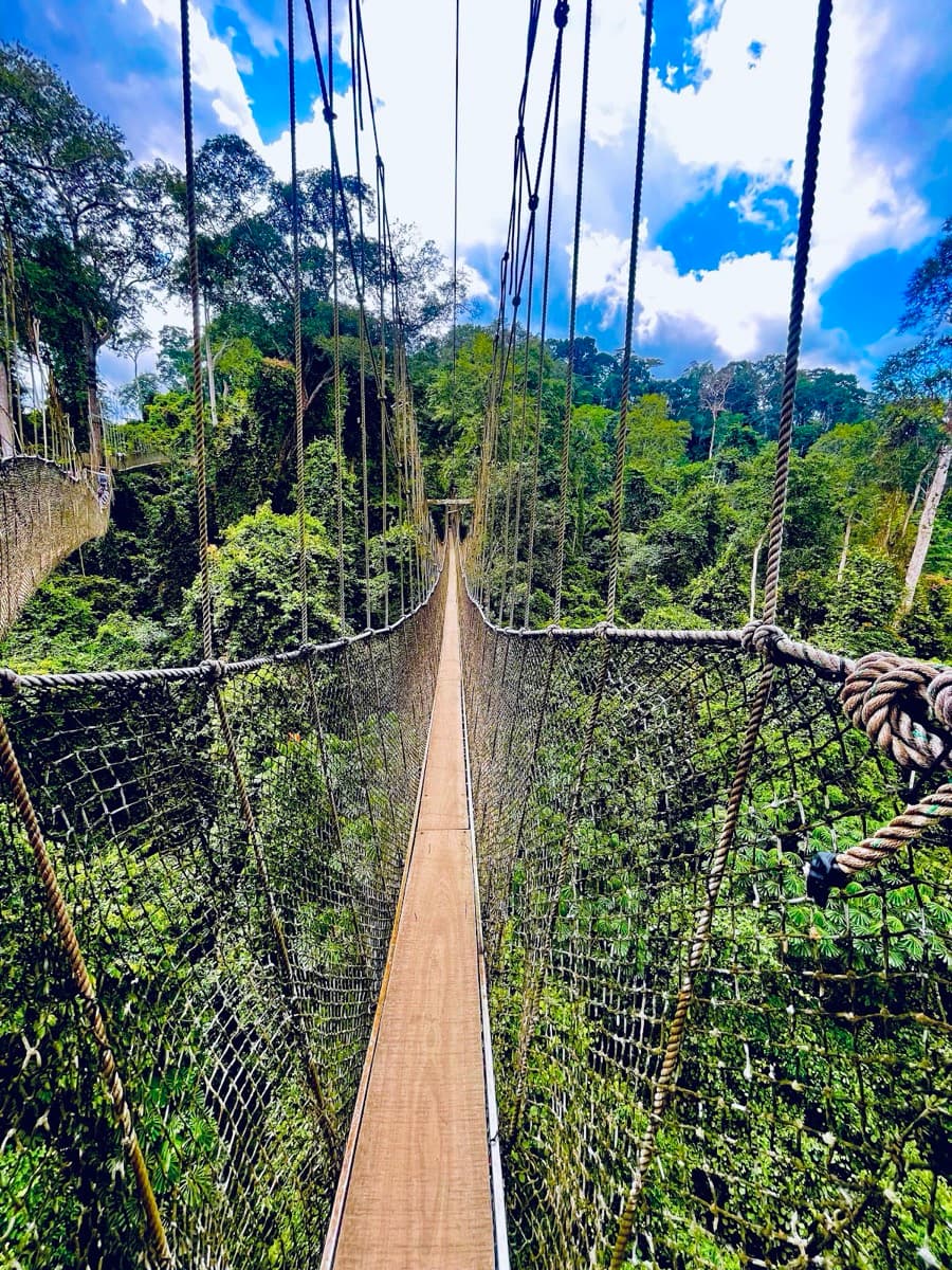 Kakum National Park
