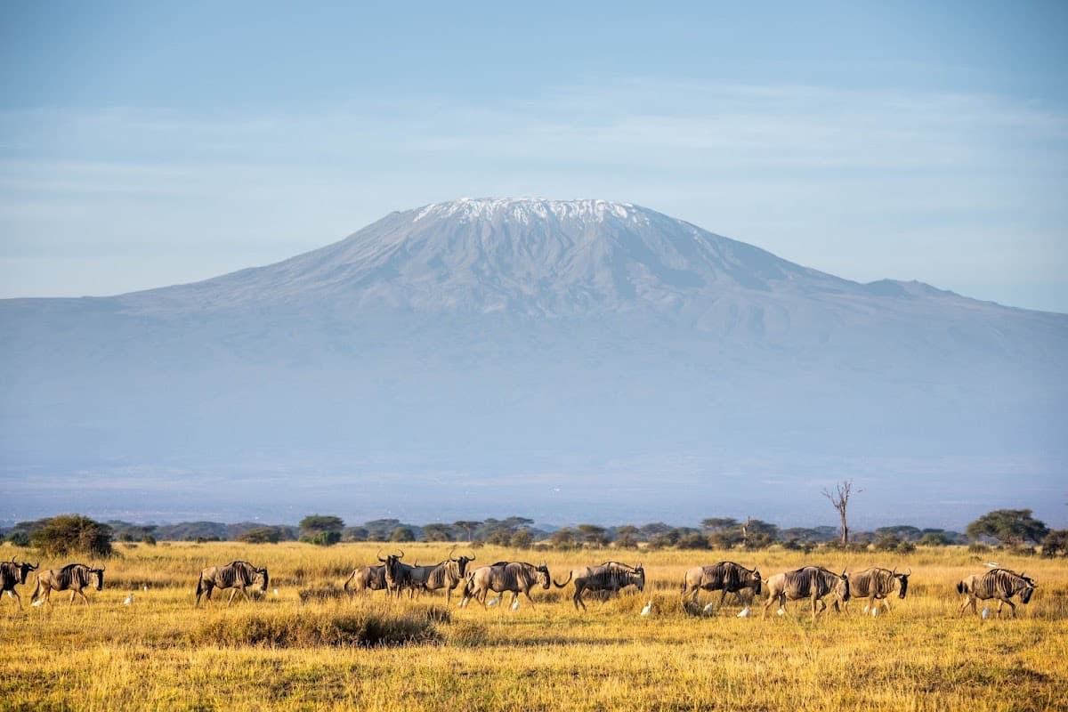 Kimana Sanctuary