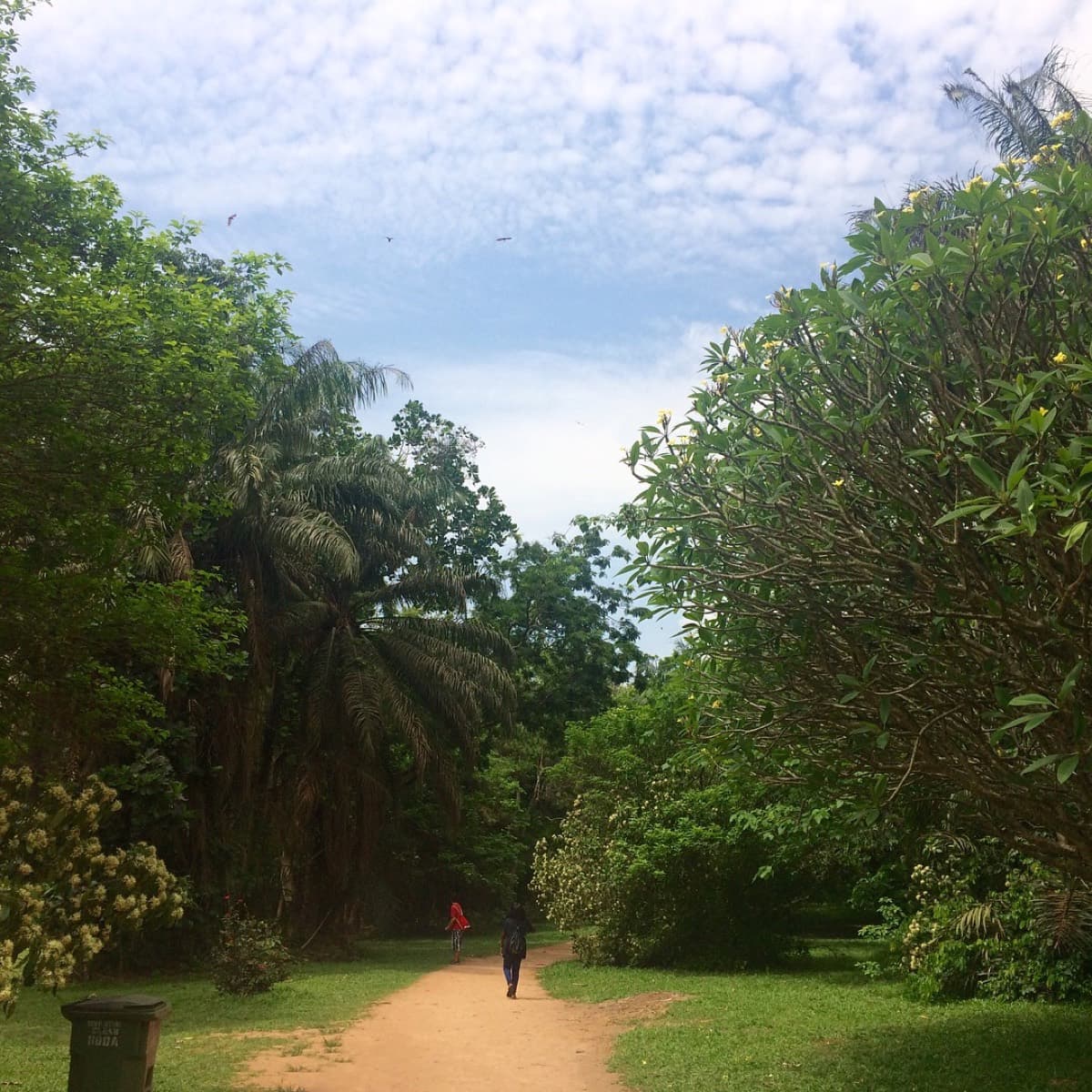 KNUST Botanical Garden