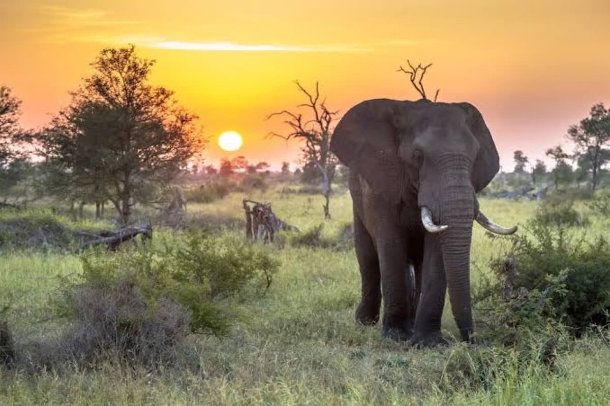 Kruger National Park