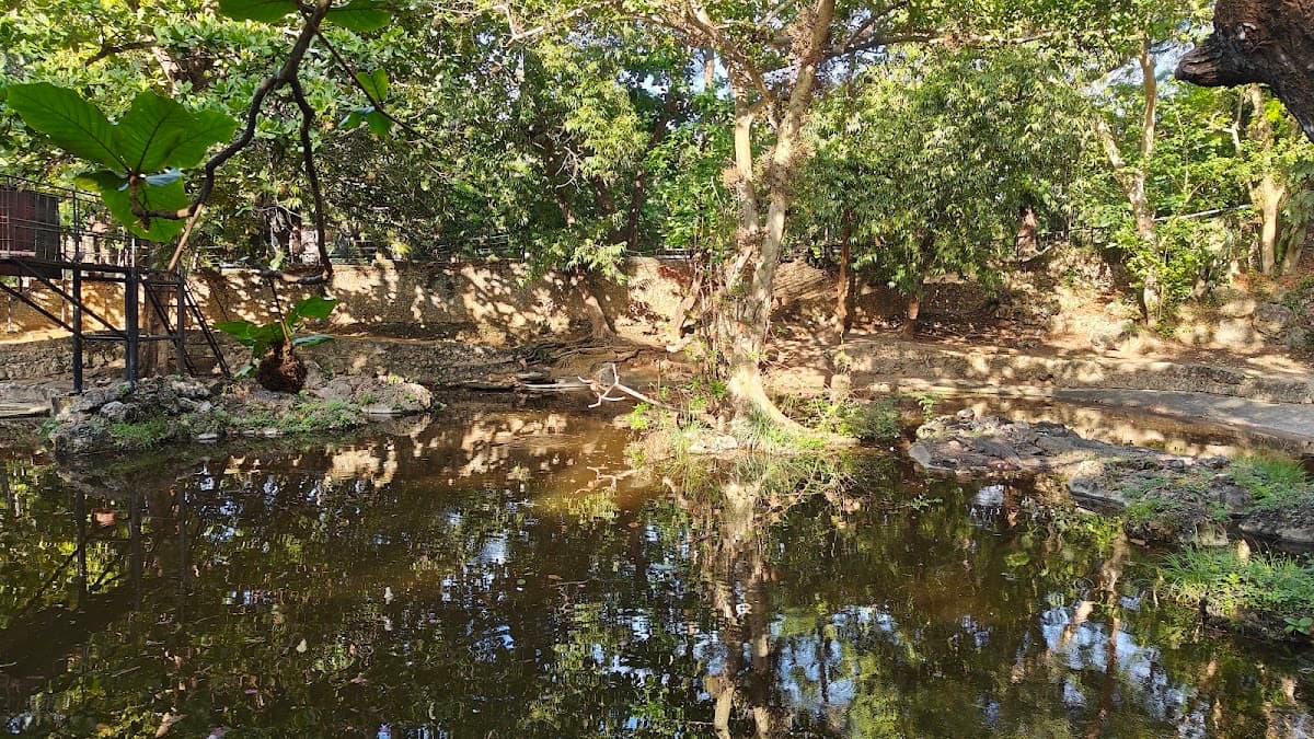 Kuze - Mombasa