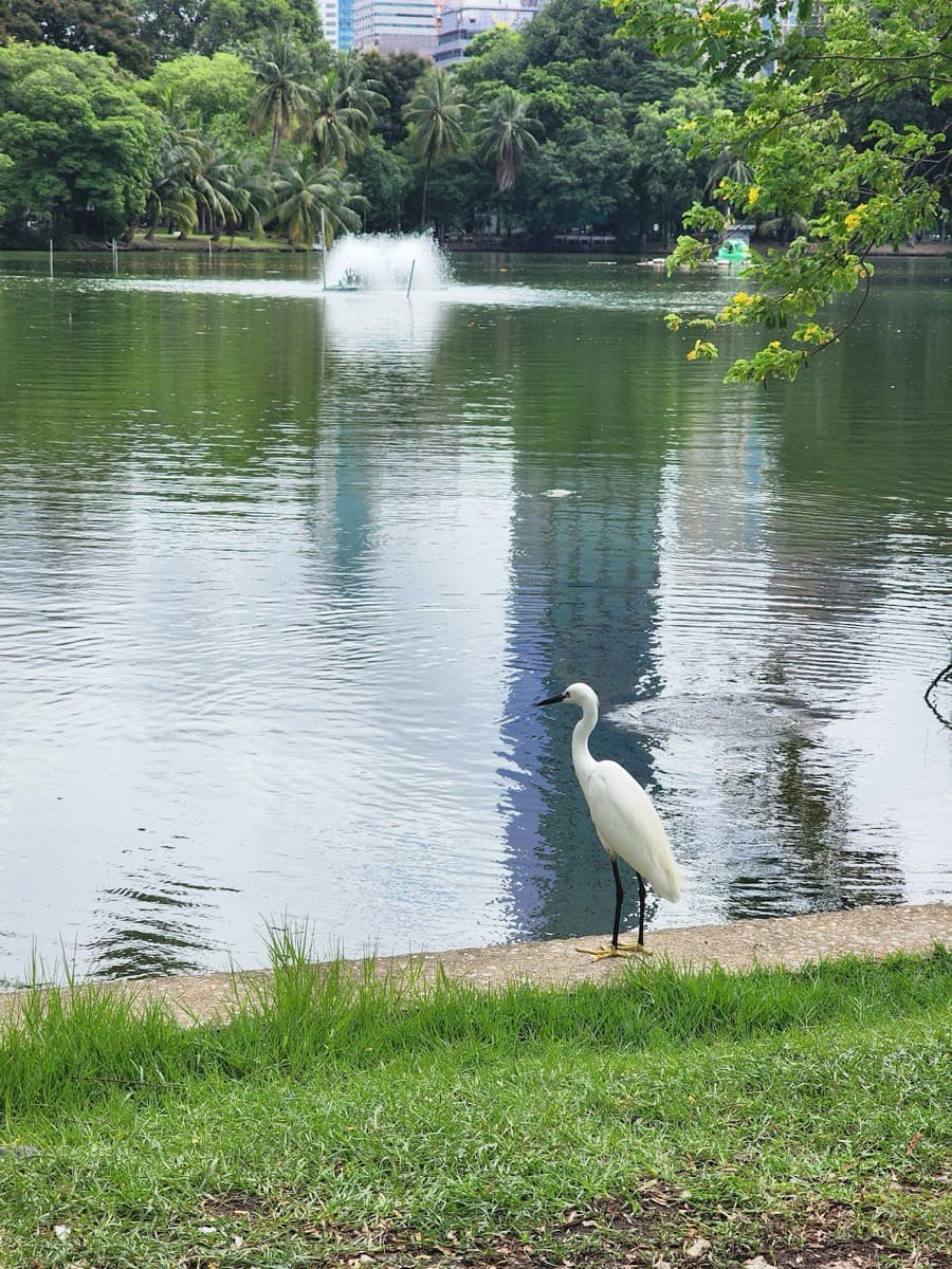 Lumphini Park