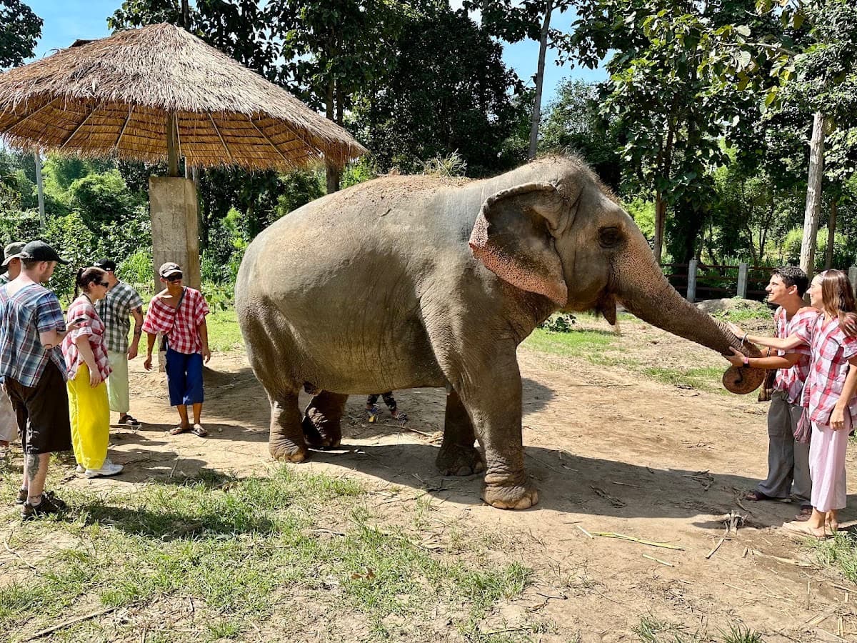 Maerim Elephant Sanctuary
